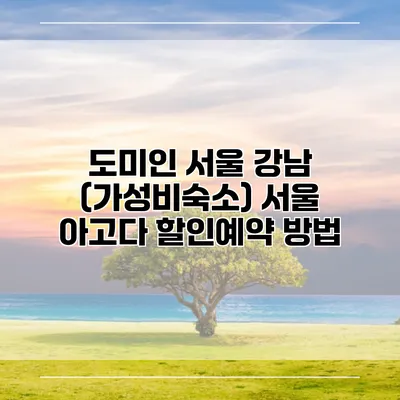 도미인 서울 강남 (가성비숙소) 서울 아고다 할인예약 방법