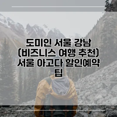 도미인 서울 강남 (비즈니스 여행 추천) 서울 아고다 할인예약 팁