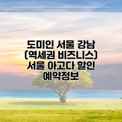 도미인 서울 강남 (역세권 비즈니스) 서울 아고다 할인 예약정보