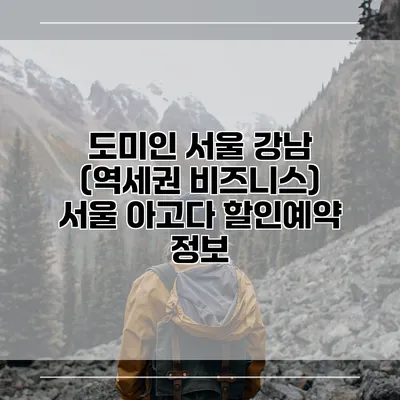 도미인 서울 강남 (역세권 비즈니스) 서울 아고다 할인예약 정보