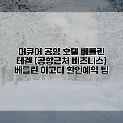 머큐어 공항 호텔 베를린 테겔 (공항근처 비즈니스) 베를린 아고다 할인예약 팁