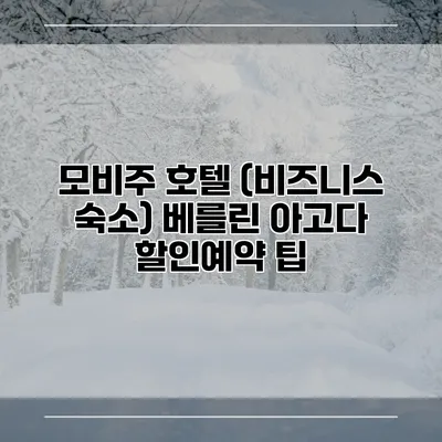 모비주 호텔 (비즈니스 숙소) 베를린 아고다 할인예약 팁