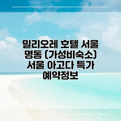 밀리오레 호텔 서울 명동 (가성비숙소) 서울 아고다 특가 예약정보
