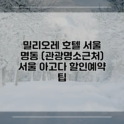 밀리오레 호텔 서울 명동 (관광명소근처) 서울 아고다 할인예약 팁