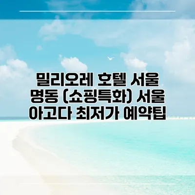 밀리오레 호텔 서울 명동 (쇼핑특화) 서울 아고다 최저가 예약팁