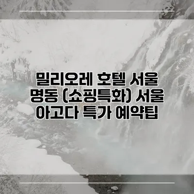 밀리오레 호텔 서울 명동 (쇼핑특화) 서울 아고다 특가 예약팁
