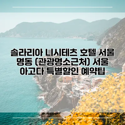 솔라리아 니시테츠 호텔 서울 명동 (관광명소근처) 서울 아고다 특별할인 예약팁