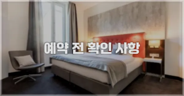 예약 전 확인 사항