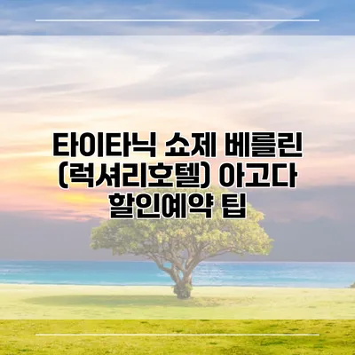타이타닉 쇼제 베를린 (럭셔리호텔) 아고다 할인예약 팁