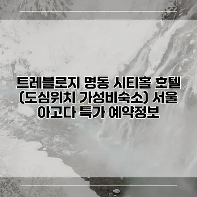 트레블로지 명동 시티홀 호텔 (도심위치 가성비숙소) 서울 아고다 특가 예약정보