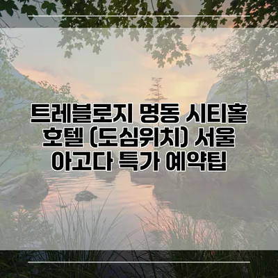트레블로지 명동 시티홀 호텔 (도심위치) 서울 아고다 특가 예약팁