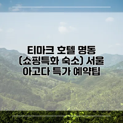 티마크 호텔 명동 (쇼핑특화 숙소) 서울 아고다 특가 예약팁