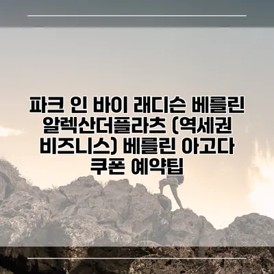 파크 인 바이 래디슨 베를린 알렉산더플라츠 (역세권 비즈니스) 베를린 아고다 쿠폰 예약팁