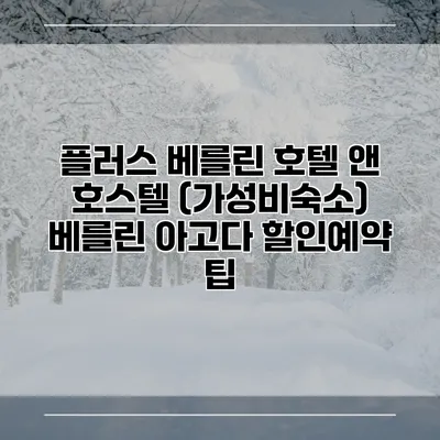플러스 베를린 호텔 앤 호스텔 (가성비숙소) 베를린 아고다 할인예약 팁
