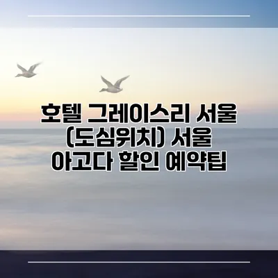 호텔 그레이스리 서울 (도심위치) 서울 아고다 할인 예약팁