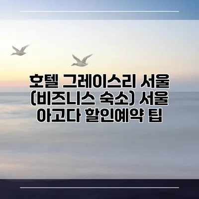 호텔 그레이스리 서울 (비즈니스 숙소) 서울 아고다 할인예약 팁