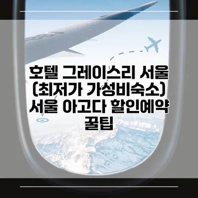호텔 그레이스리 서울 (최저가 가성비숙소) 서울 아고다 할인예약 꿀팁