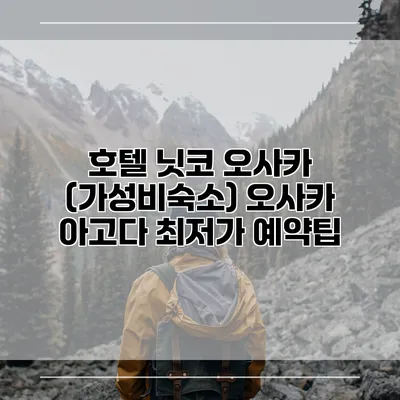 호텔 닛코 오사카 (가성비숙소) 오사카 아고다 최저가 예약팁