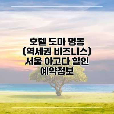 호텔 도마 명동 (역세권 비즈니스) 서울 아고다 할인 예약정보