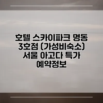 호텔 스카이파크 명동 3호점 (가성비숙소) 서울 아고다 특가 예약정보