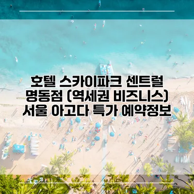 호텔 스카이파크 센트럴 명동점 (역세권 비즈니스) 서울 아고다 특가 예약정보